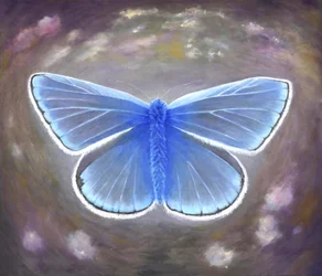 Uncommon Blue